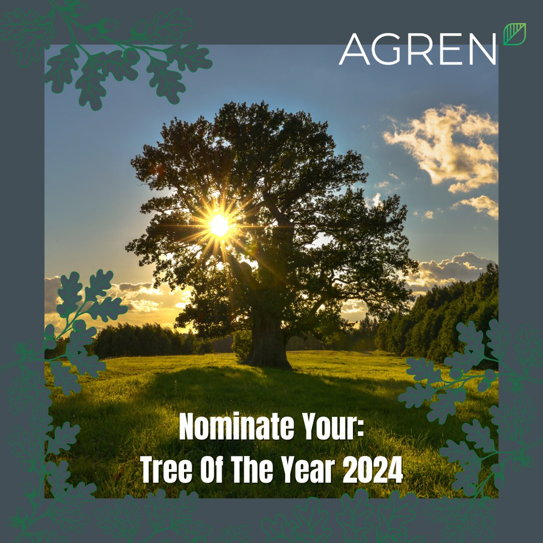AGREN_UK's tweet photo. Woodland Trust wants your magnificent Oak tree nominations, please provide:

📌 Tree location
🍃 Species
📖 Connection to you
📸 3 - 4 Photos
👉 Email them: socialmedia@woodlandtrust.org.uk.
⏰ DEADLINE: 11:59 PM on Sunday 11 August.

#TreeOfTheYear2024
#UKTreeOfTheYear https://t.co/krXbYCre0O