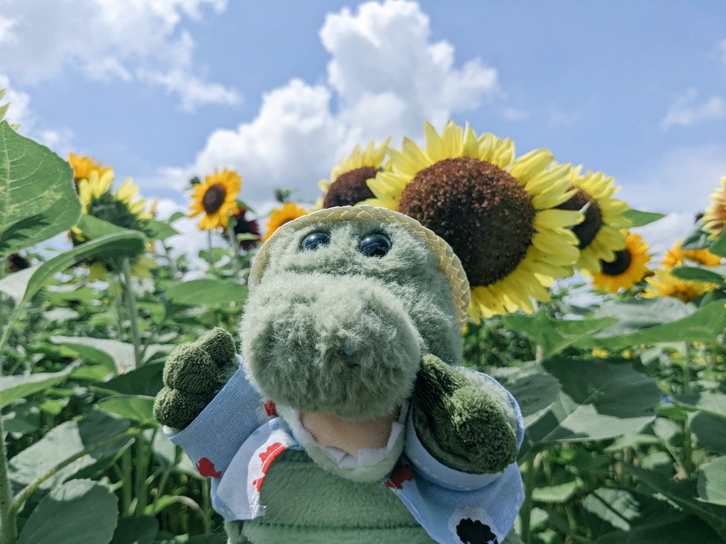 fuko2kaori's tweet photo. ねぇ、こっちにも行ってみよう！🌻🐊 https://t.co/C5fl3eNFuf