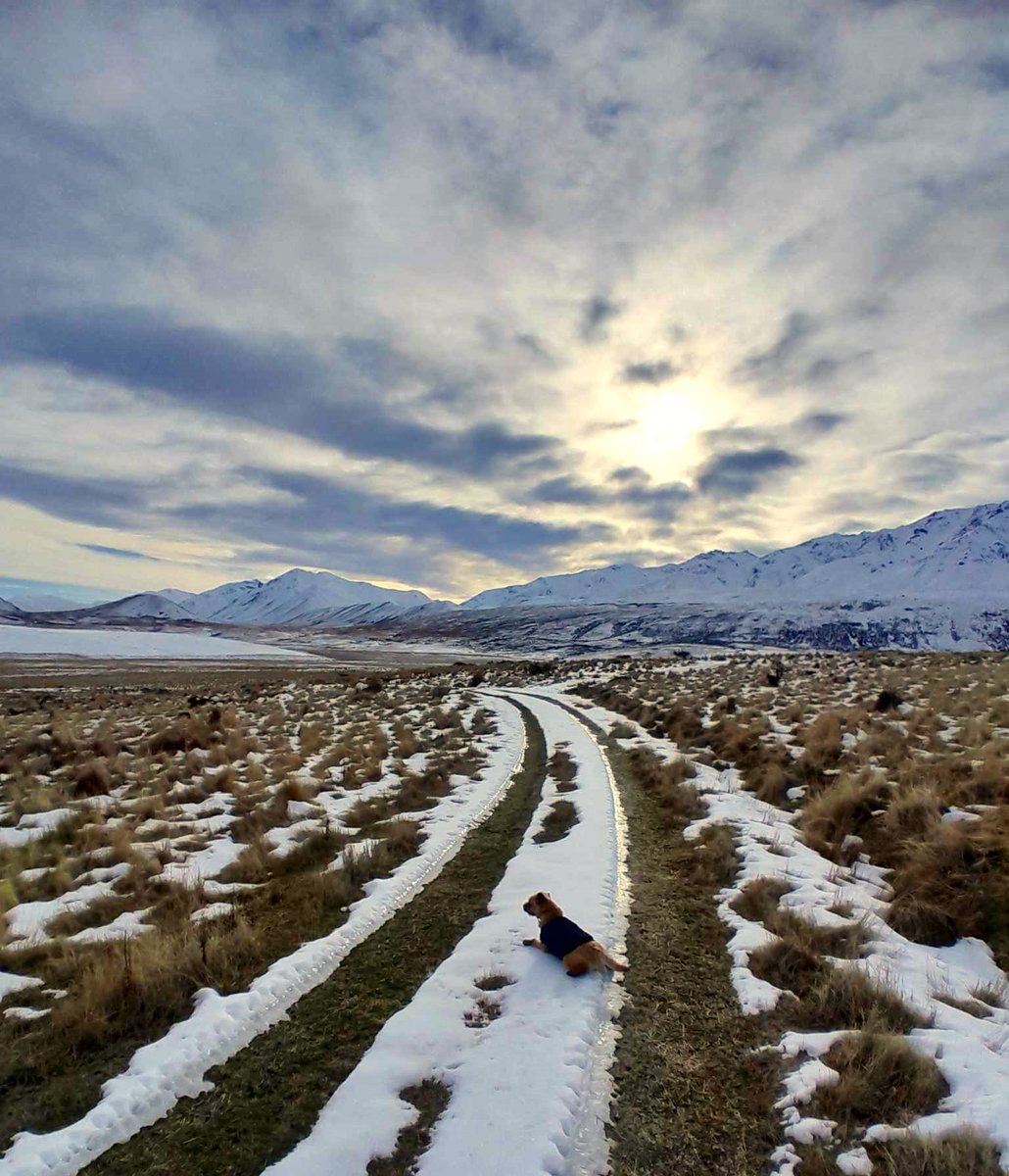 Deanoss's tweet image. Beats work #wednesdaymotivations #teararoa