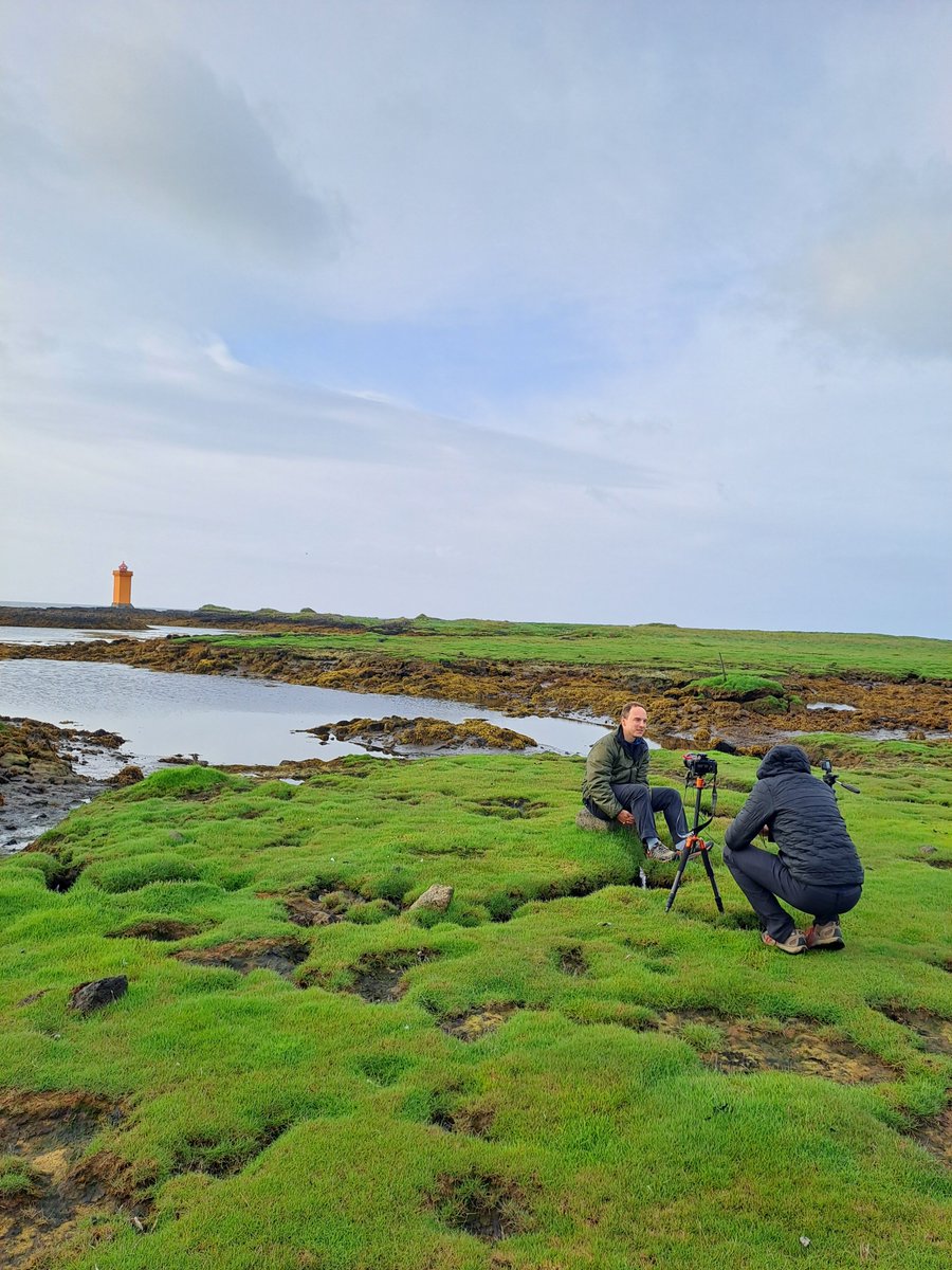 SciencEscape tweet media