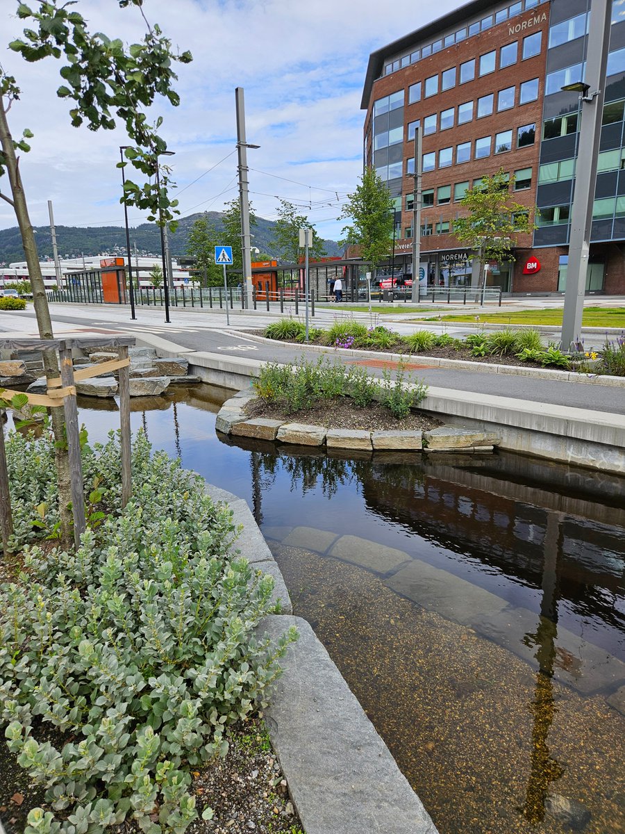 Kuvassa on bergeniläinen ratikkapysäkki, joka limittyy pieneen jokeen - se on päässyt taas esille oltuaan 50 vuotta tien alla.

Tällaista luonnon esiinottoa kaupungit kaipaavat!