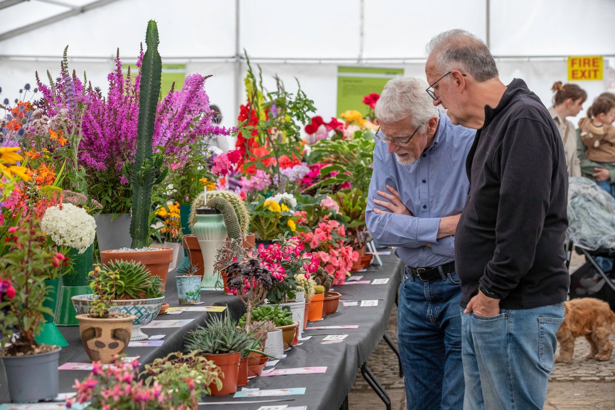 🌞Thousands flocked to Court Hey Park this weekend thanks to three amazing community events! 

The park came alive with 🥁music, 🍔food, 🌻flowers and 🌈Pride.

📸Check out the photo gallery and see if you can spot yourself enjoying the fun!

orlo.uk/H9qsp