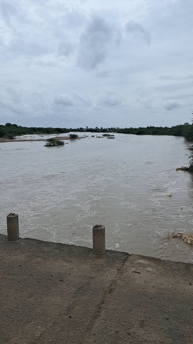Diva19113491's tweet photo. A few hours of rainfall can make a dried up lake fill up to a certain level. The water might be polluted and unfit for use. Hence it is essential to make use of ways we can conserve water for our usage.

#needforneeru #cleanwater #dropofwater https://t.co/Njzc3rQ1IA