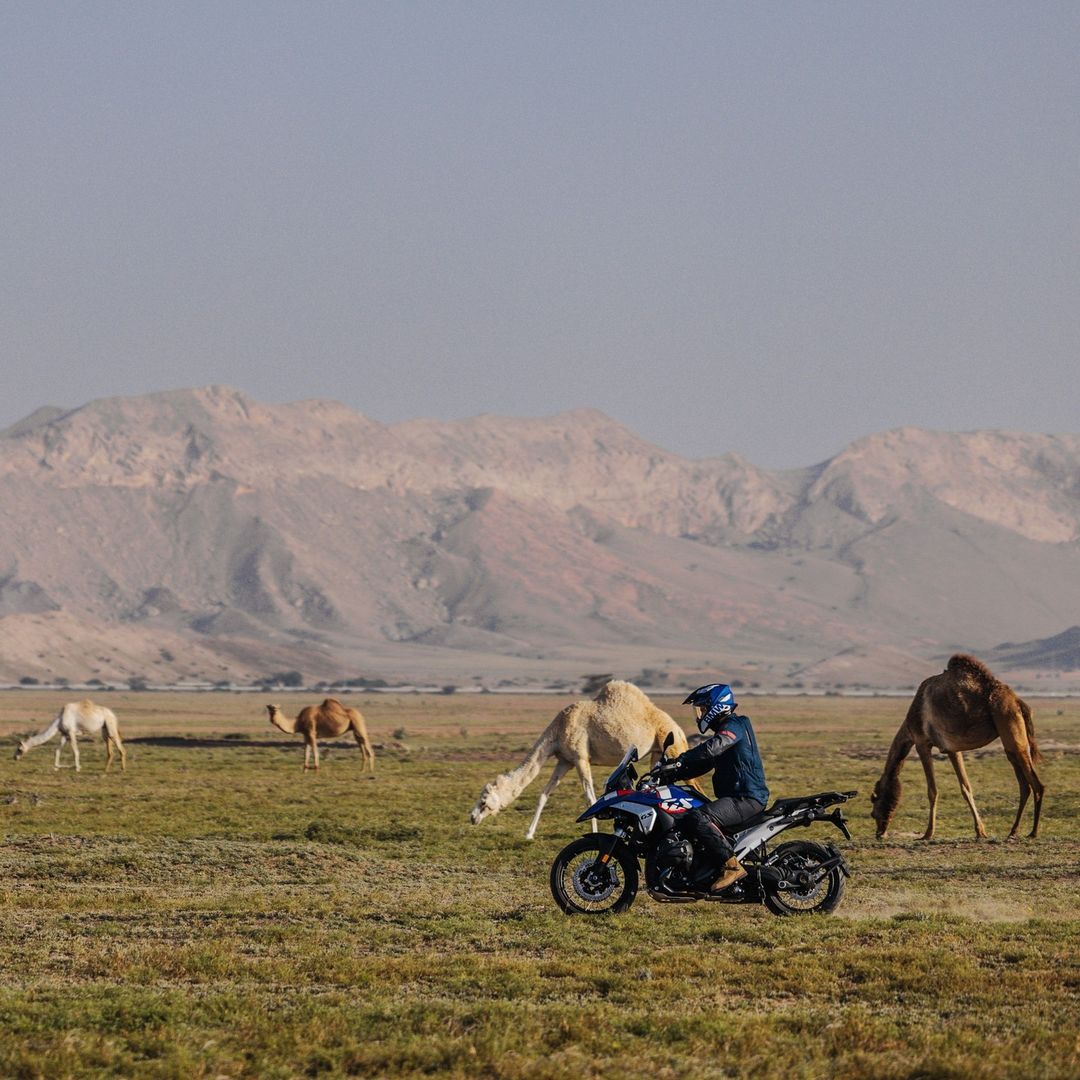 BMWMotorradKSA's tweet photo. R 1300 GS
غامر بشموخ يضاهي الجبال.

لمزيد من التفاصيل، اتصل بنا على 8000-123-800.⁣

Majesty that rivals the mountains.
The R 1300 GS.

For more information, call us at 800-123-8000.⁣⁣
⁣⁣
#BMWMotorradKSA #MakeLifeARide #NeverStopChallenging #R1300GS https://t.co/QKv6y2AmID