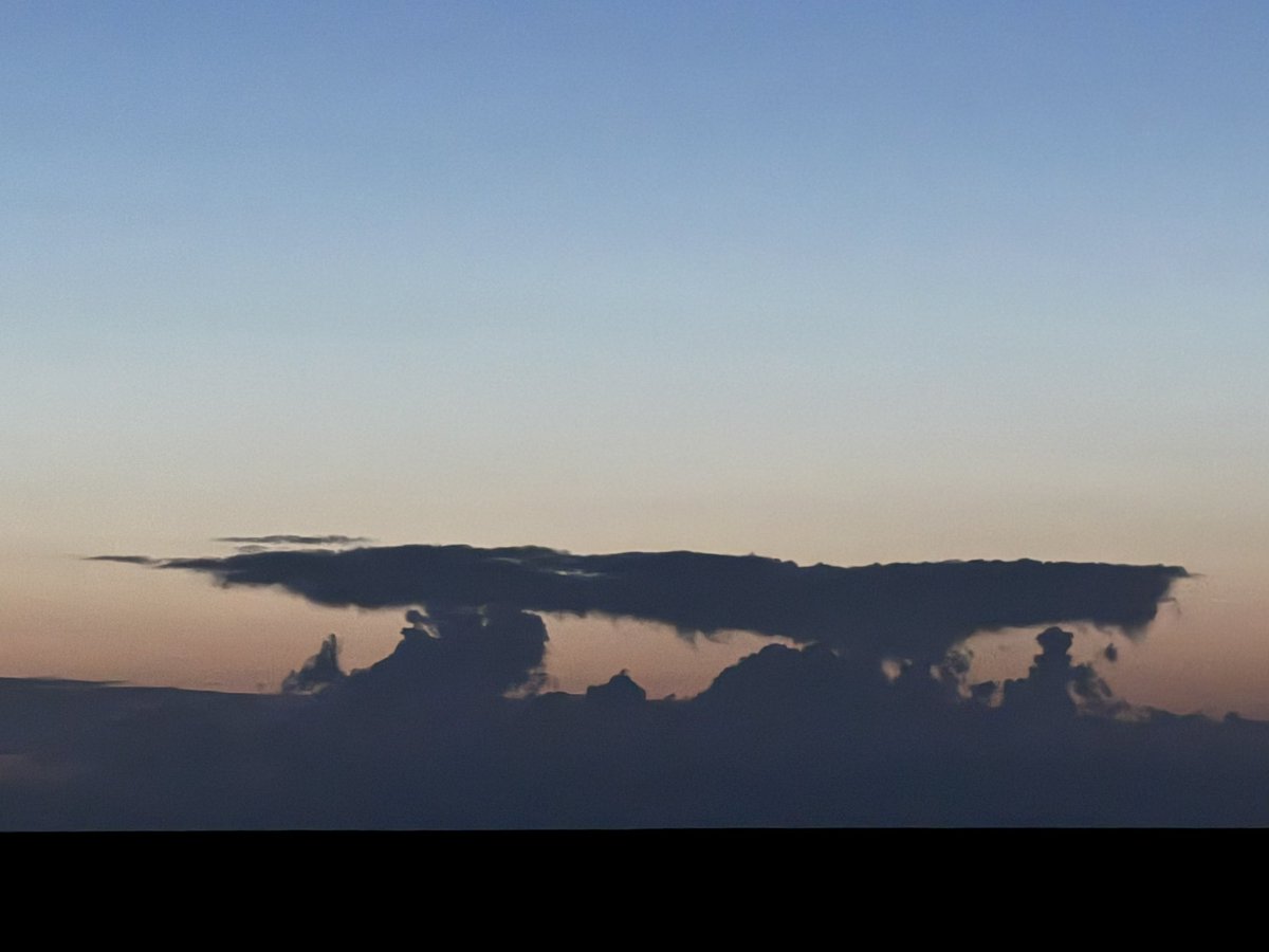 Prof Alice Roberts💙 tweet media