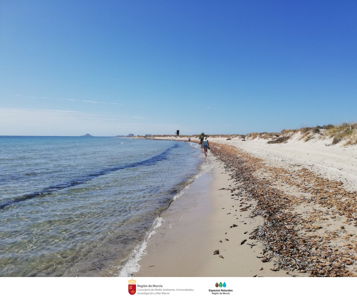 SalinasSPedroPR's tweet photo. Disfruta del #Verano y de la #Naturaleza en #SalinasSPedro con #Precaución 🦩 🌊
Lleva siempre contigo ⬇️
Protección solar 🧴
Gorra 🧢
Agua en abundancia 💧
Y sombrilla si vienes a sus #PlayasNaturales 🏖️
#PrevencionAlVisitante https://t.co/2gElcKyTFD
