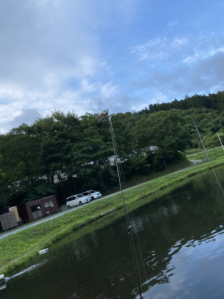 light_matsu's tweet photo. イブニングでウキウキに。
夕方の涼しい時間帯で気持ちよく遊べました😁
最近GOMEXUSからリリースされたNewハンドルノブ【A20P】はアルミ製のため軽く、なおかつ握り易い形状になっていてエリアトラウト〜ライトソルトゲームまで使用はすごくおすすめ😁
#GONEXUS #ゴメクサス #PR https://t.co/InnMy6h4s3