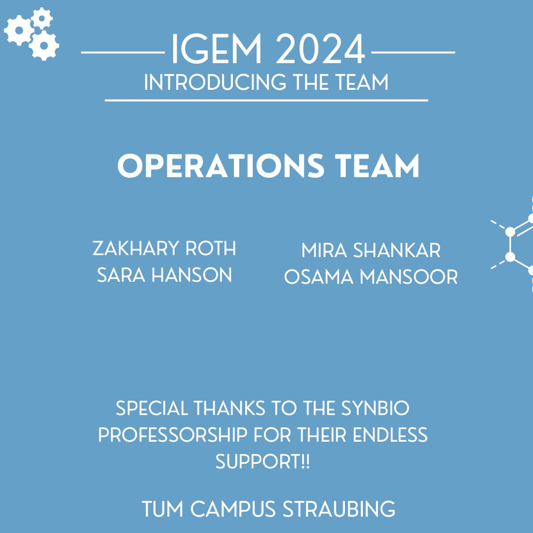 Meet our incredible iGEM team! 🌟 United by our passion for synthetic biology, we're a multidisciplinary group of innovators from diverse fields including biology, engineering, economics, and more! #iGEM #iGEM2024 #SyntheticBiology