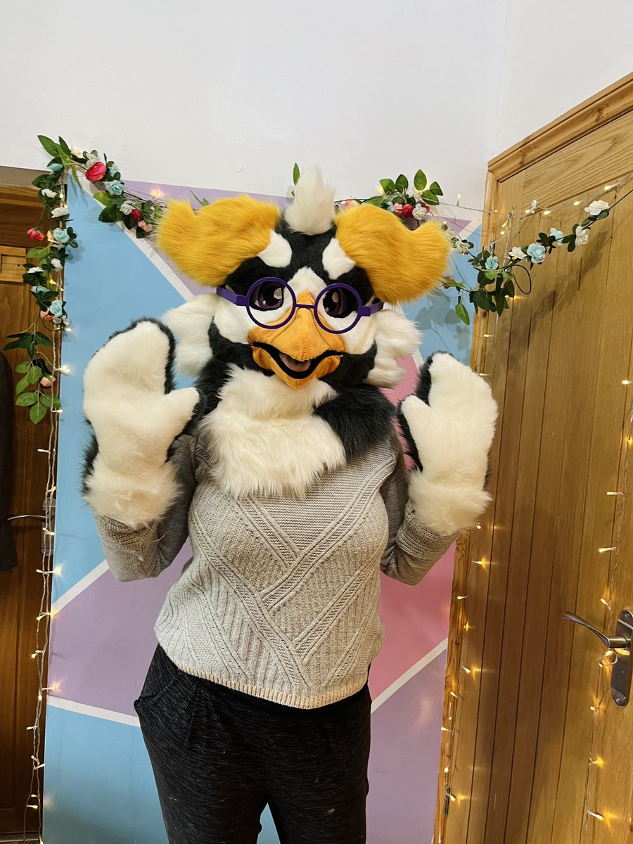 Nyxia_Creations's tweet image. Everyone meet Delvin the rockhopper penguin! This one was definitely a challenge, but very fun to try out something new!

#anthroart #FursuitEverday #fursuitmaker #fursuiter #furryart