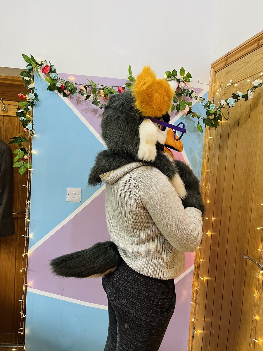 Nyxia_Creations's tweet image. Everyone meet Delvin the rockhopper penguin! This one was definitely a challenge, but very fun to try out something new!

#anthroart #FursuitEverday #fursuitmaker #fursuiter #furryart