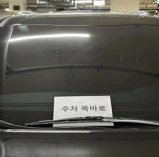 무슨 일이 일어나고 있나요? tweet media