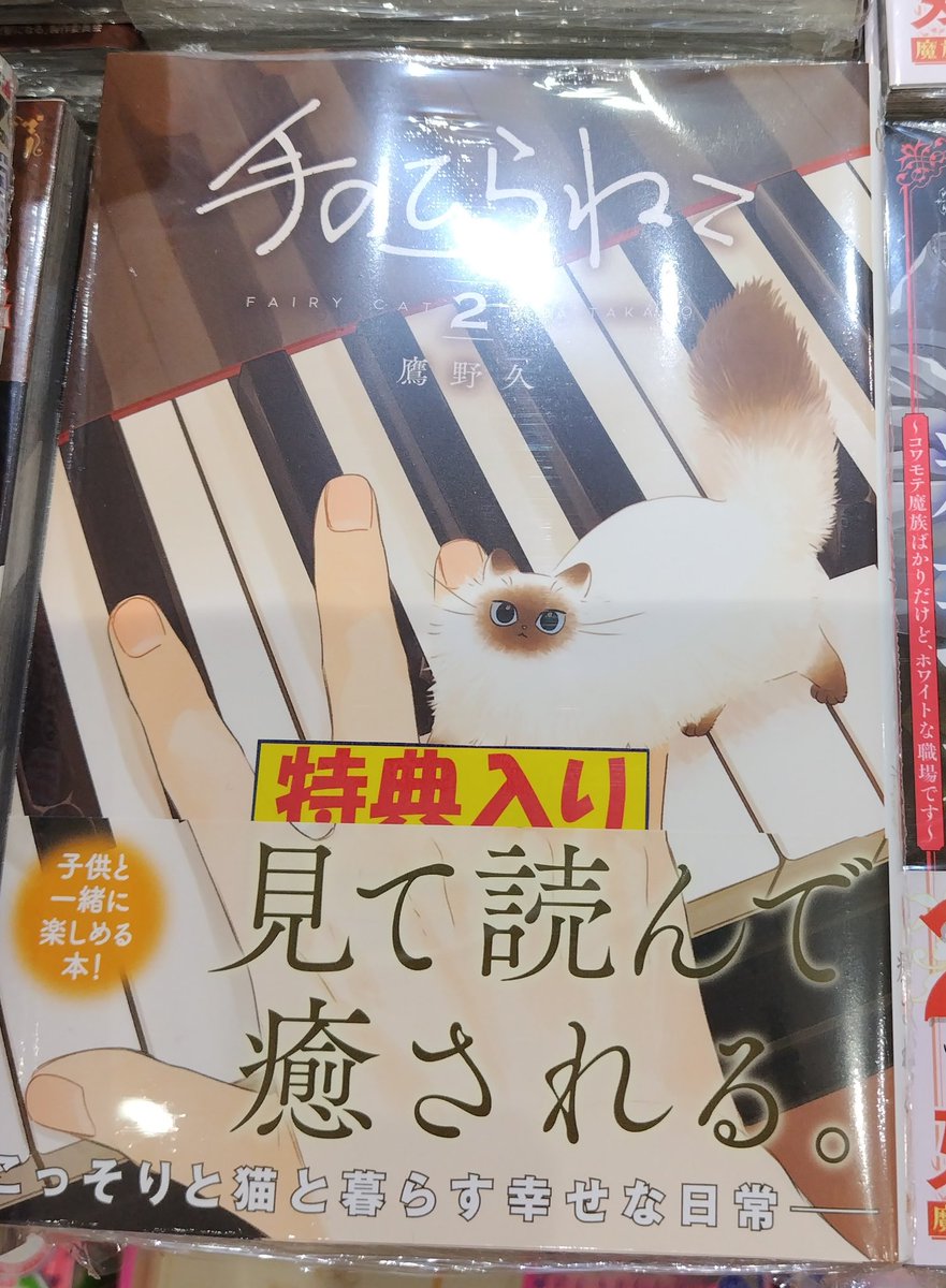 本日、心トキメク✨バンチコミックスの発売日です✨
『#魔王城の料理番』３巻、『#手のひらねこ』２巻等々出ております🥰
『手のひらねこ』はホントかわいいので、全猫好きに読んでほしいですね🤔