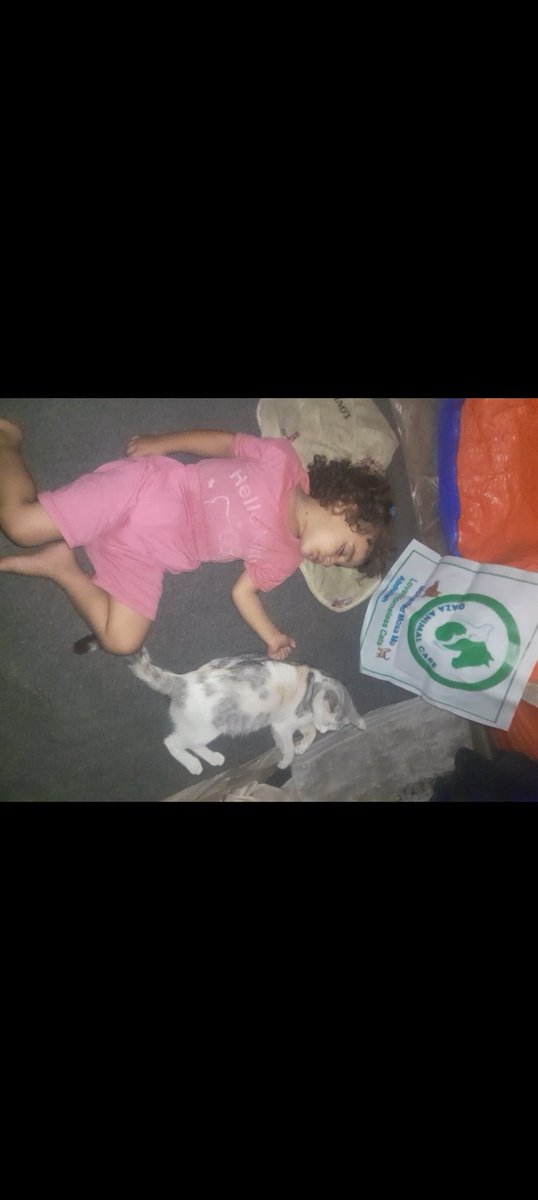 SARAMoh69489245's tweet photo. 💔🚨🙏🏻The evening was terrifying , the missiles landed right next to the tent. We are all so scared , fearing for our lives. 
Sleeping in a real bed has become a dream. Having a peaceful night, without being awake by drones noises, bombings, hunger, thirst, fear sickness…never happens to us. 
Is it even possible ? 
Worrying about normal things, not having the terribles images of massacres in my head after witnessing unspeakable horror seems utopist.
I just want a normal life for my little girl. I just want Maria to play with toys, to go to school ..
All this seems to be too much to ask. But I am still dreaming that it can happen.
I am just trying to help everyone in my community because I know so well how it feels to feel lost and abandoned, to be so hungry that it hurts . I help all the animals who are so vulnerable. They are so thin and sickly from the lack of food. It would break your heart into million pieces.
When you are helping me , you are helping them.  You are making everything possible. 
If you could donate on a regular basis it would be so great. Thank you. I love you my friends 
❤️🫂 ❤️🫶https://t.co/UcHvYQQ6oT
https://t.co/VHHhMhvui8 https://t.co/3sNnAVIPkK