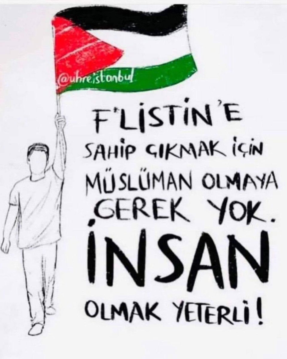 Şefik Ensari 🟢🇹🇷 tweet media