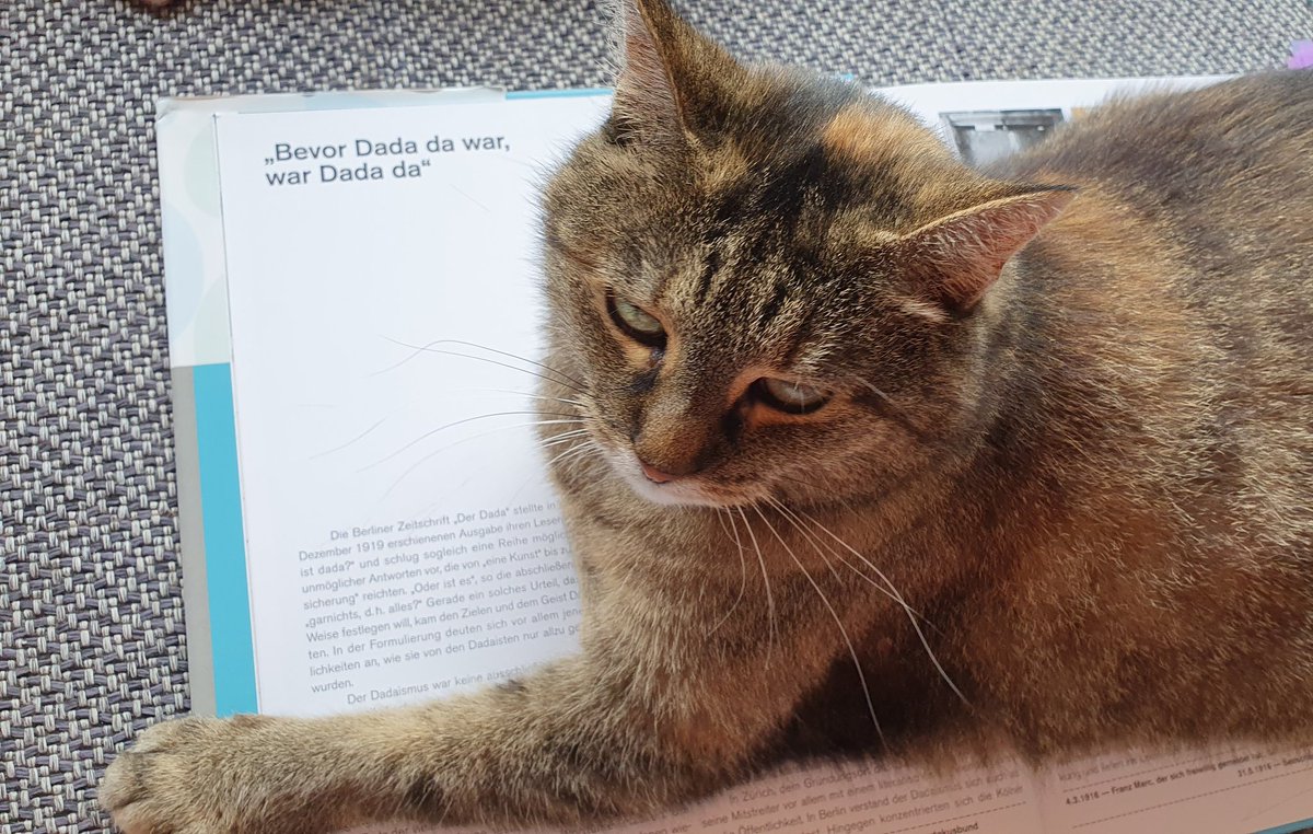 sandraskoehler's tweet photo. Die mündliche Prüfung im #MANDL an der @fernunihagen rückt näher. Der #bestestudybuddyvonallen nimmt seine Aufgabe ernst. Neben #Kafka gibts #Dada für alle in der #Hannoveredition des #MERZ von #kurtschwitters. #literaturwissenschaft #ursonate #CatsOfTwitter https://t.co/dIsy6aRwdt