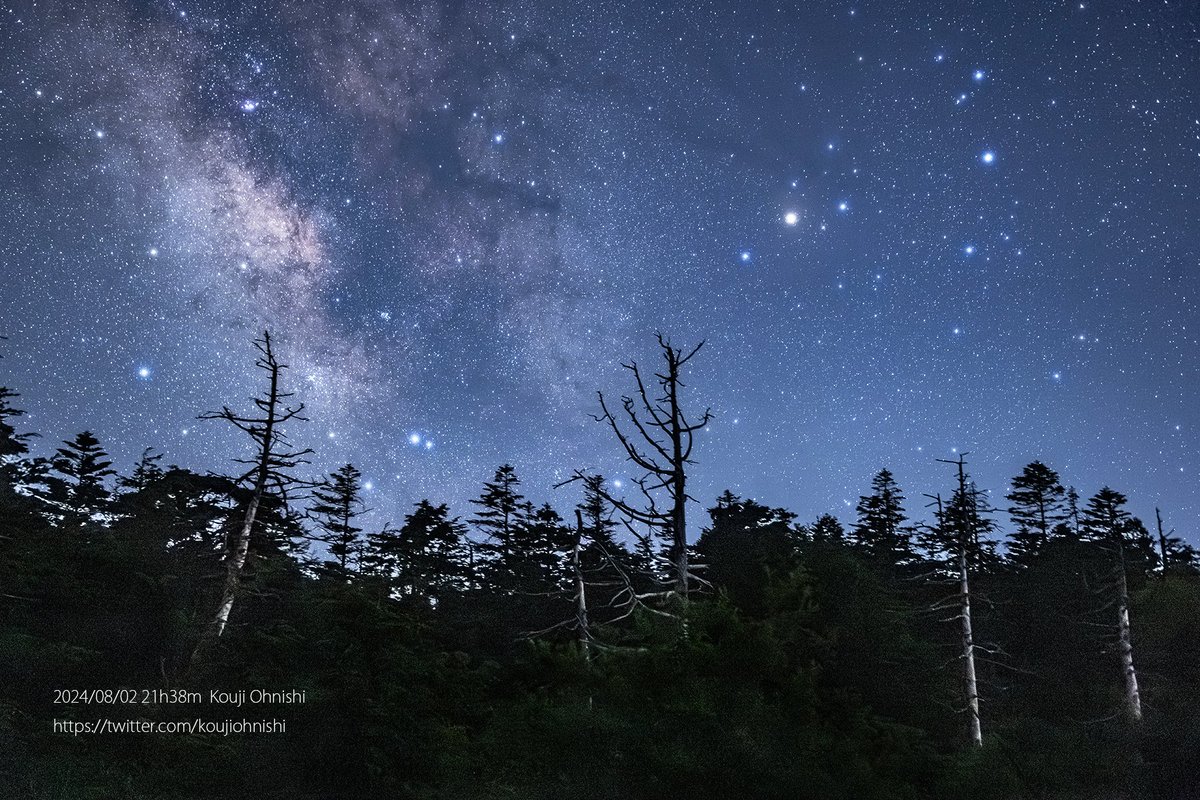 #今日の星景写真 2024年8月7日
「針葉樹の上のさそり」
撮影:2024/08/02
#山ノ内町

山の中では、さそり座が大きく見える
開けたところからさそり座を狙う

#針葉樹
#さそり座
#M7
#いて座
#長野県は宇宙県