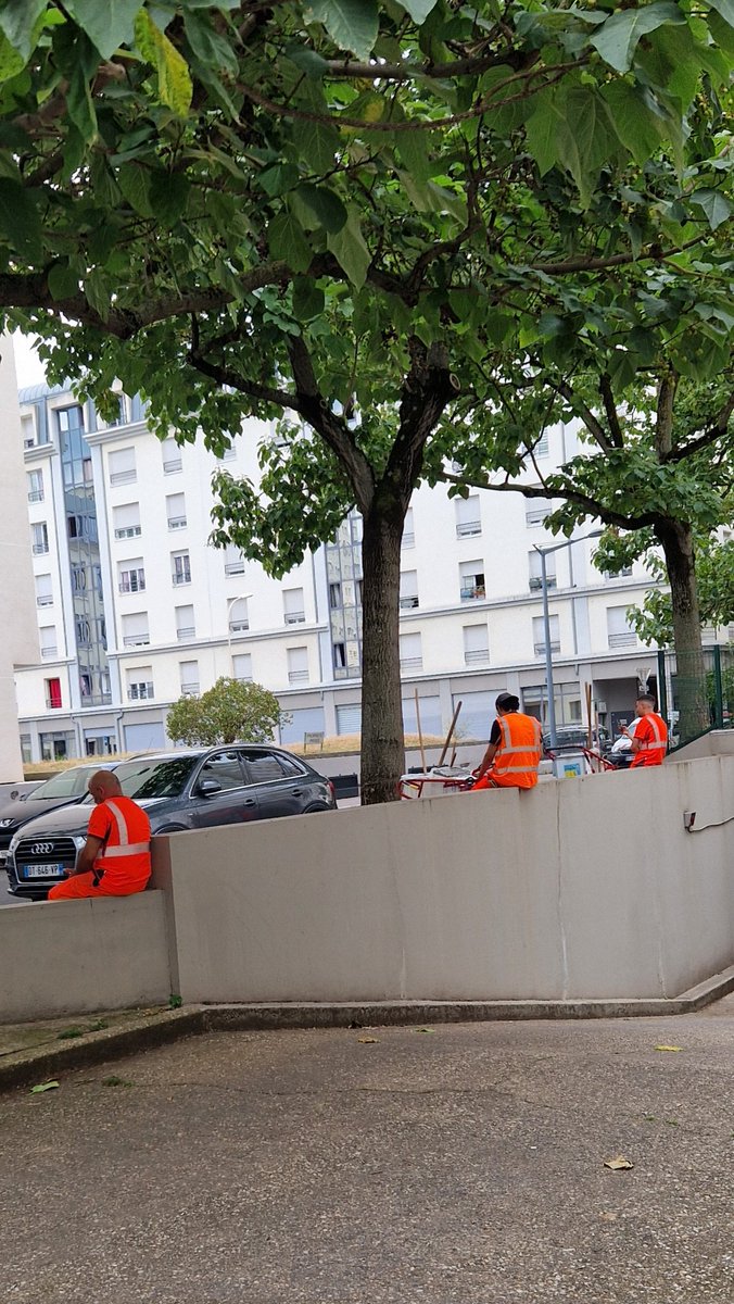 vdistef's tweet photo. @villedelyon ça bosse dur à Lyon... j'ai eu le temps de faire mon marché ils ont pas bougé ! Des mikados les agents municipaux https://t.co/ZYJVwzV9PQ