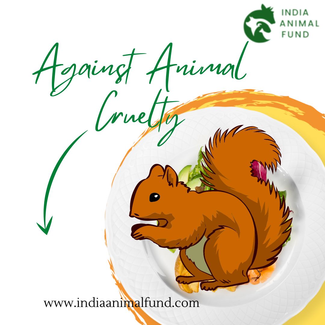 IndiaAnimalFund tweet media