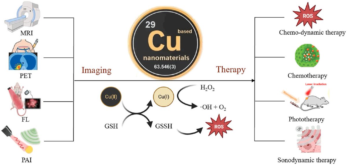 JournalBio's tweet photo. Copper-Based Nanomaterials for Image-Guided #cancertherapy

Read More: https://t.co/4zEtR9IPyb

#copperbased #nanomaterials #imageguided #imagingproperties #multimodalimaging #BIOI #biointegration @Science_Open https://t.co/ECacy9Av3b