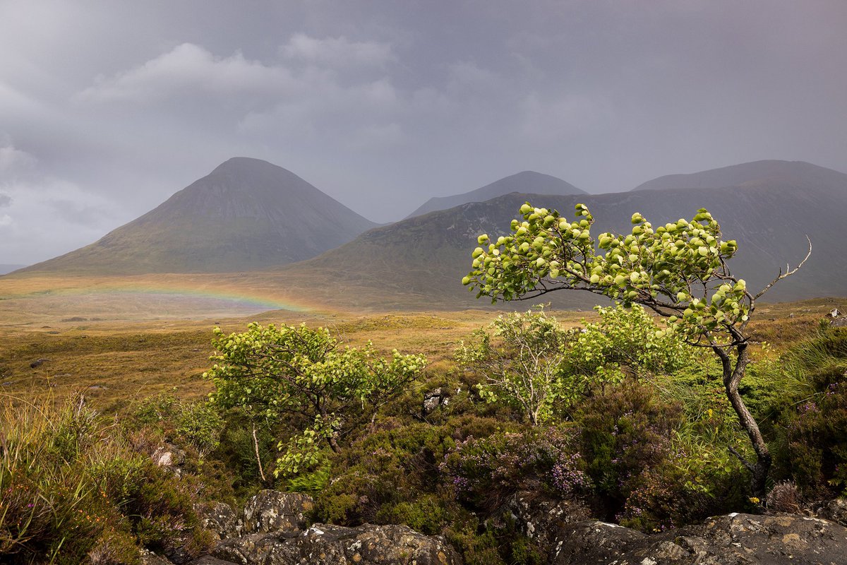 Saturday afternoon at Sligachan, where we had a few rain showers, however only had two rainbows. #landscapephotography