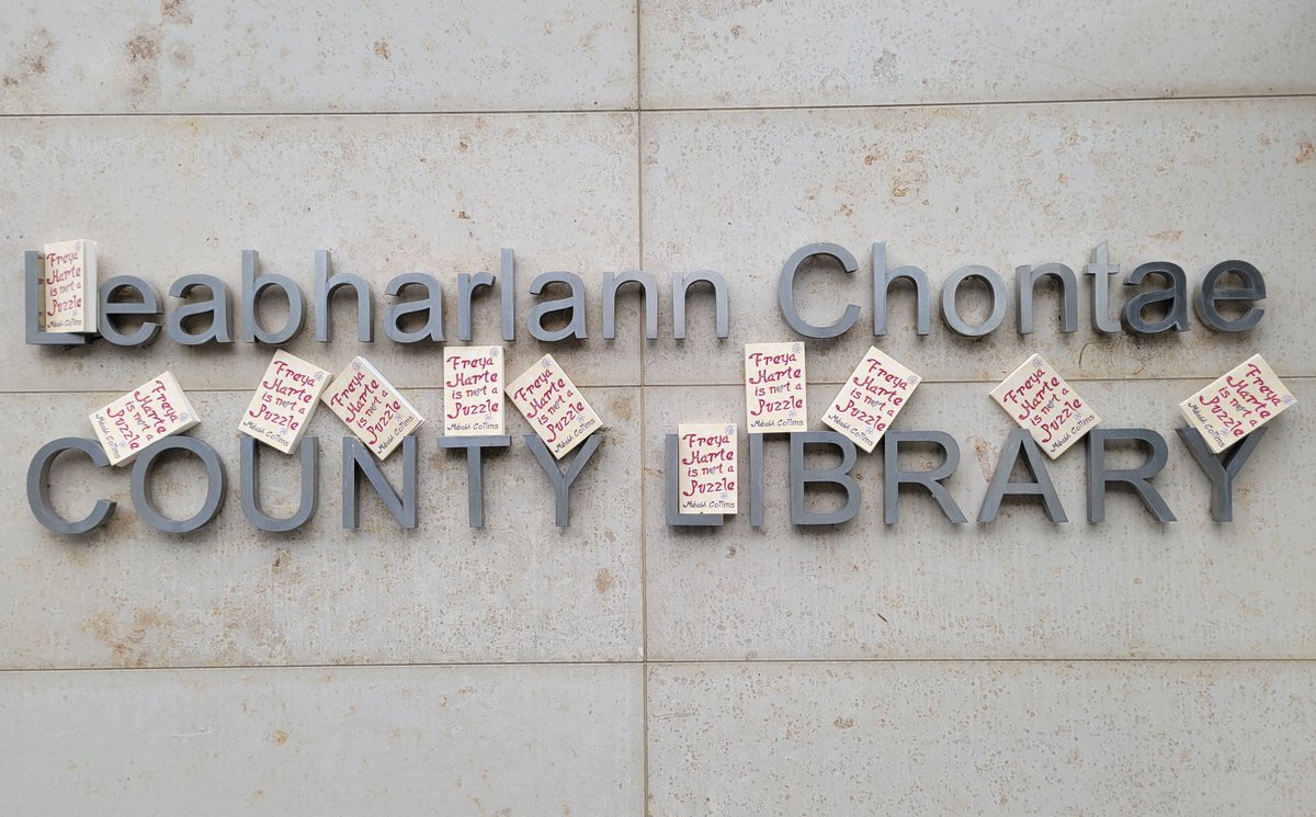 Cork County Council Library &amp; Arts Service is delighted to reveal that ‘Freya Harte is Not a Puzzle’, written by Irish author Méabh Collins and published by O’Brien Press, has been selected as our 2024 ‘One County, One Book’ read for teens!
‘Freya Harte is Not a Puzzle’ is a