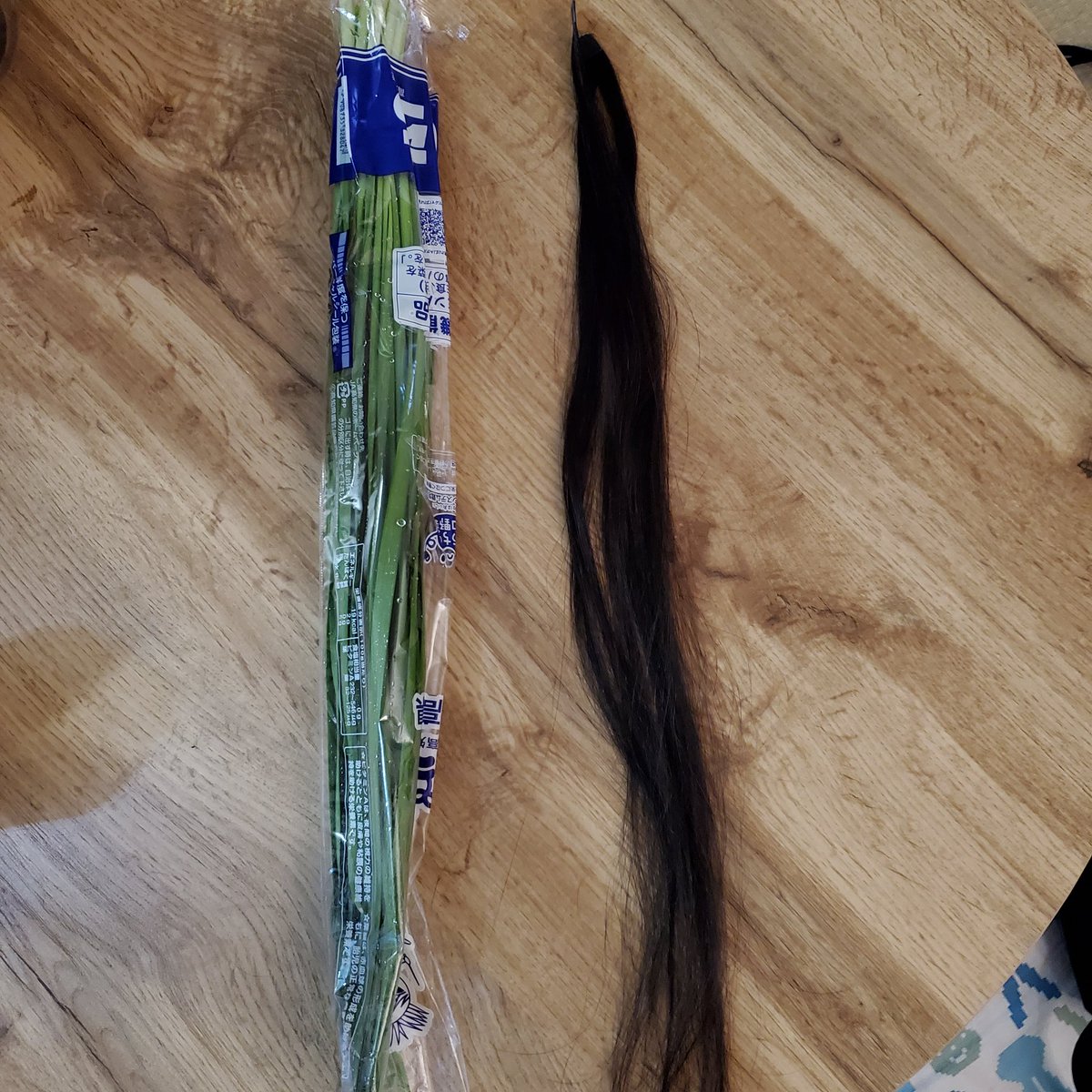 エクステとニラ

家に帰ったら、テーブルに（娘が）とり外したエクステがダラーンと。怖っ😱

ニラと並べてみた😂
まあまあ似てる😂