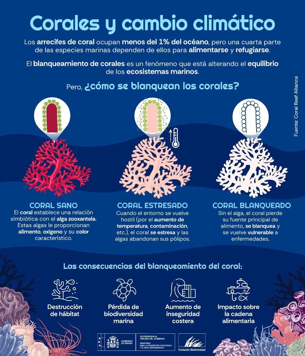 El 7⃣0⃣% de los arrecifes de coral 🪸 de la Tierra está amenazado.

La pérdida de estos valiosos ecosistemas puede provocar consecuencias a largo plazo para el océano 🌊, para las personas 👨‍👩‍👧‍👦 y para el planeta 🌍