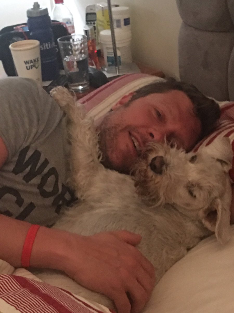 Our beloved Del Boy went to “Doggie Heaven” yesterday.  We’ve cherished the 11 years with him, Del has been a perfect doggie boy. We will always love you &amp; forever will miss you, our wonderful, white &amp; Welsh doggie boy. 💔🐶xxx