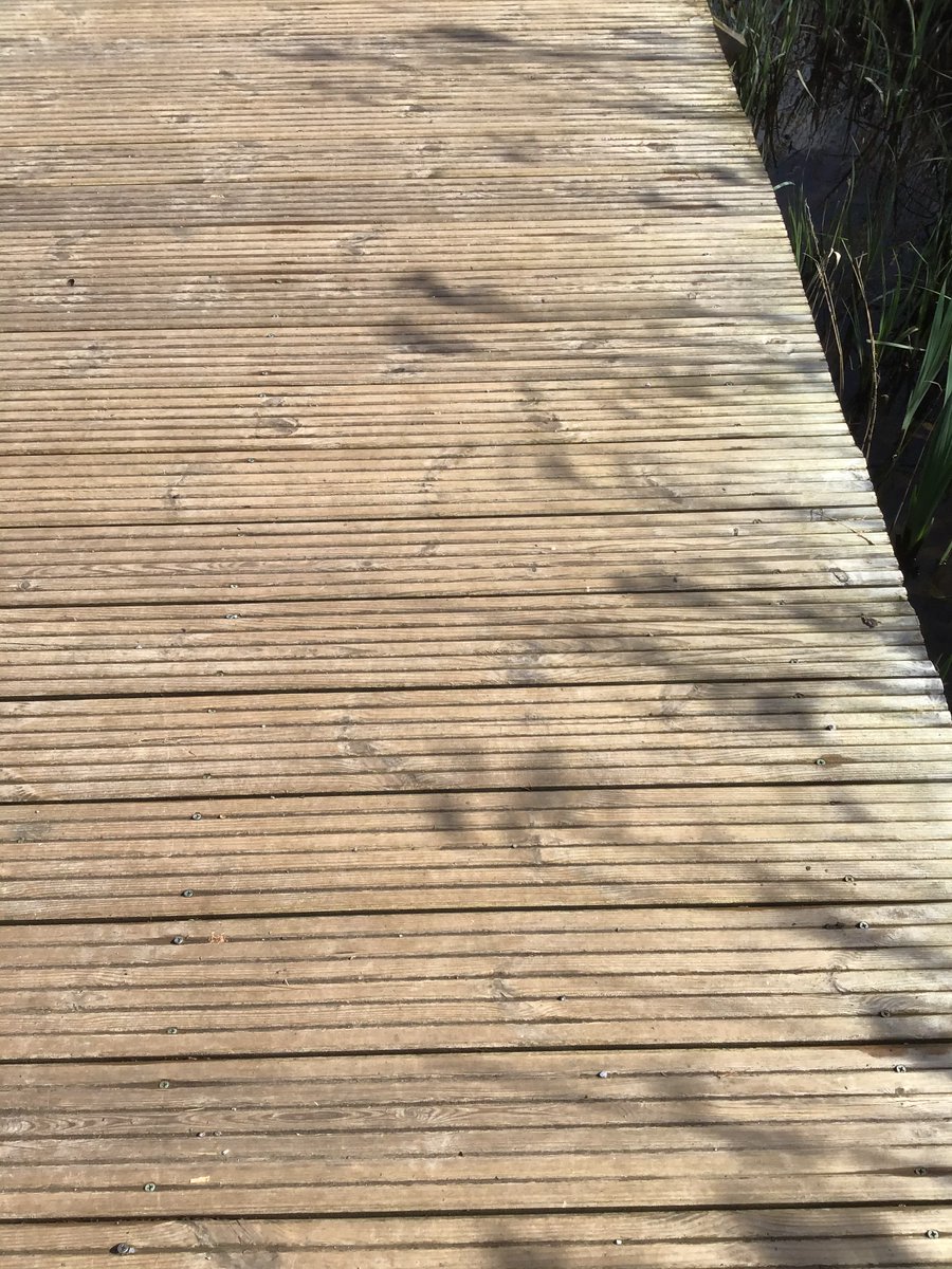 being_community's tweet photo. Good morning.

A good moment
to come away from the noise.

Compassion and sense of humour;
sometimes we read and reflect on stillness, 
without then
becoming still.

So gentle inhale/exhale
rest in your God
and let 
a beginning.

Best wishes, G
#ChristianMeditation #Stillness https://t.co/aLHz2pRtr7