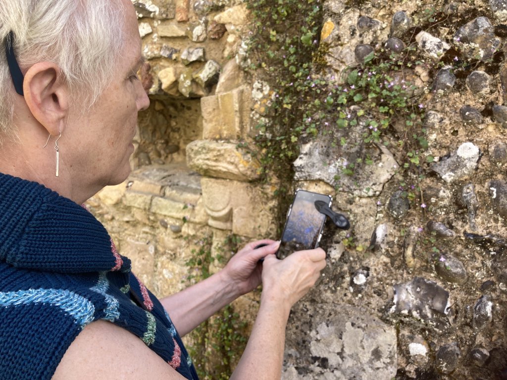 Art Branches tweet media