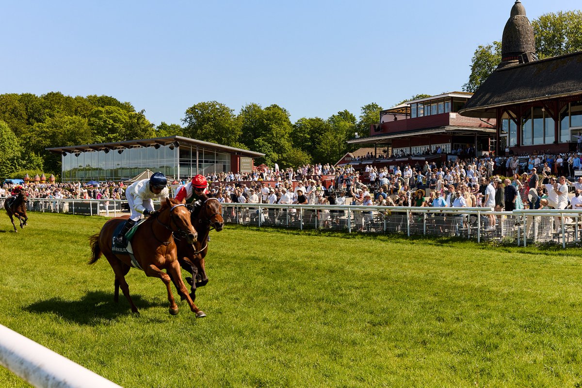 Den næste hovedbegivenhed på Galopbanen er Damernes Dag lørdag den 31. august kl. 12.45, hvor vi skal finde vinderen af Hoppernes Derby👒🏇🏿

Læs mere: galopbane.dk/damernes-dag