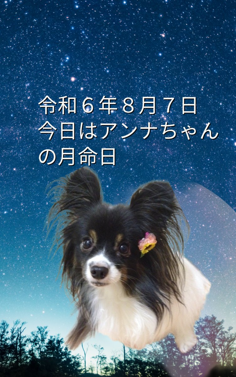 guppy7772's tweet photo. 🐕今日はアンナちゃんの25回目の月命日です🙏💕
🐶アンナちゃん、レオちゃんや沢山のお友達と仲良く遊んでるかな♡ お家にも、遊びに来てね。レオちゃんも一緒に✨✨💖

#秘密結社老犬倶楽部天国支部 #虹の橋組応援隊 #虹の橋🌈 #虹の橋組🌈 #お空組🌈 #パピヨン好きな人と繋がりたい https://t.co/RqJV19Exr4