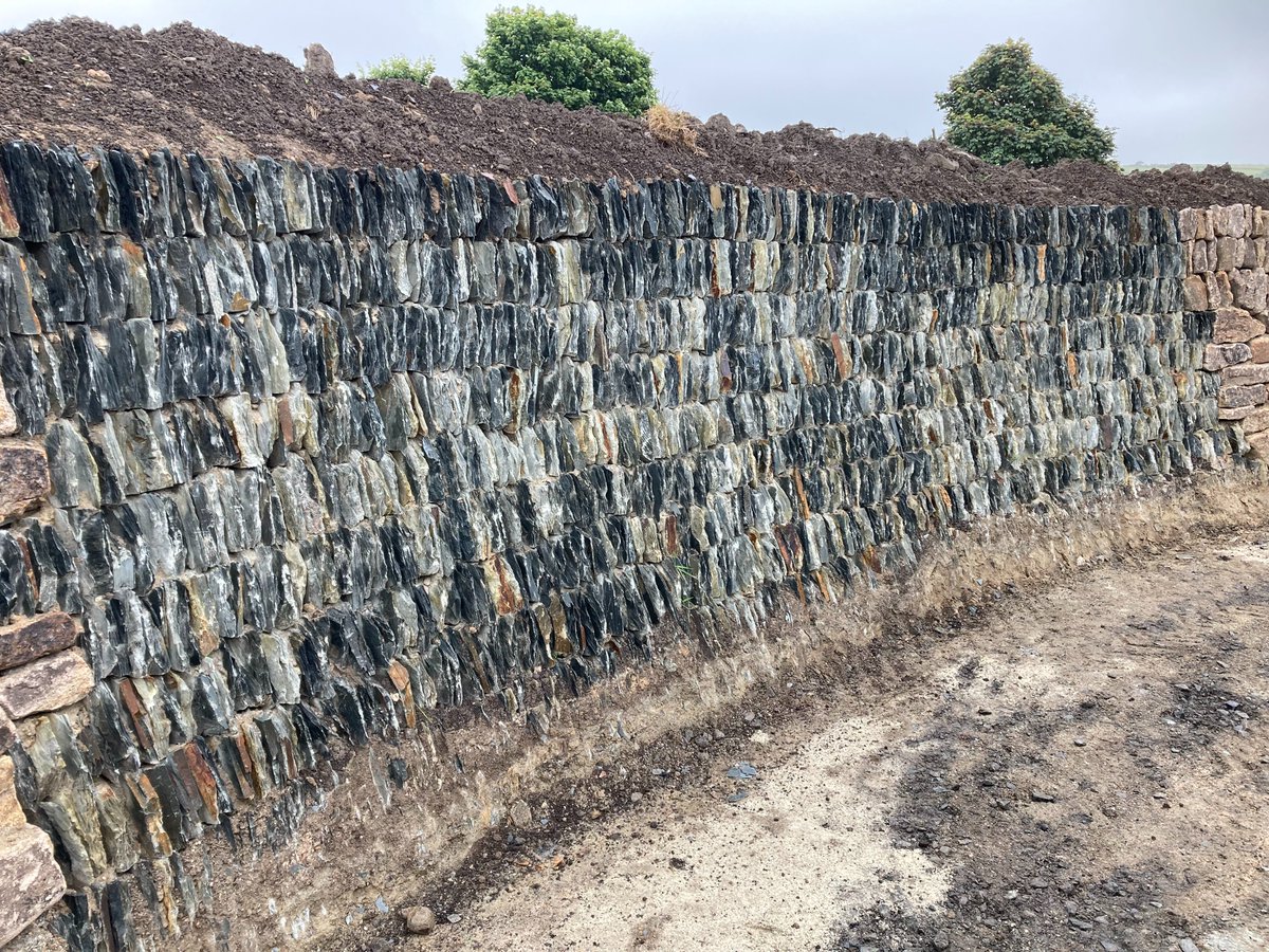 Golden Tree Productions tweet media