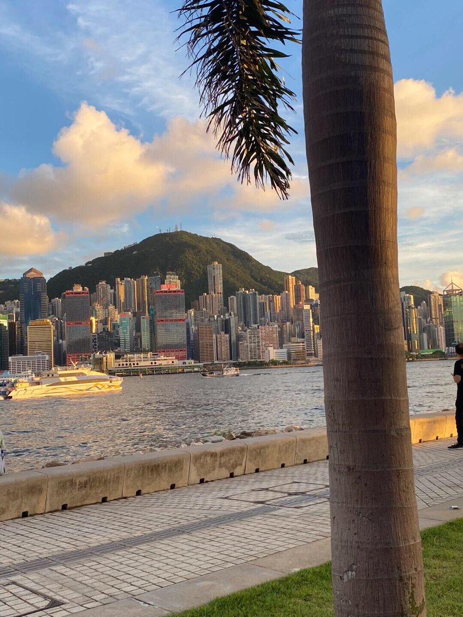 LiJiaYu52's tweet photo. Hong Kong in the evening https://t.co/whjZ7W2UOG