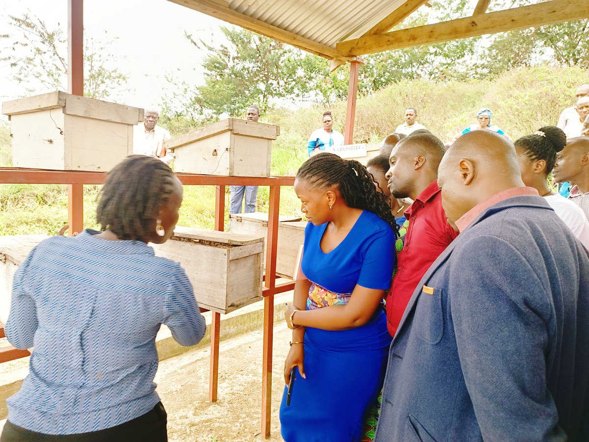 RWEBITABA ZARDI tweet media