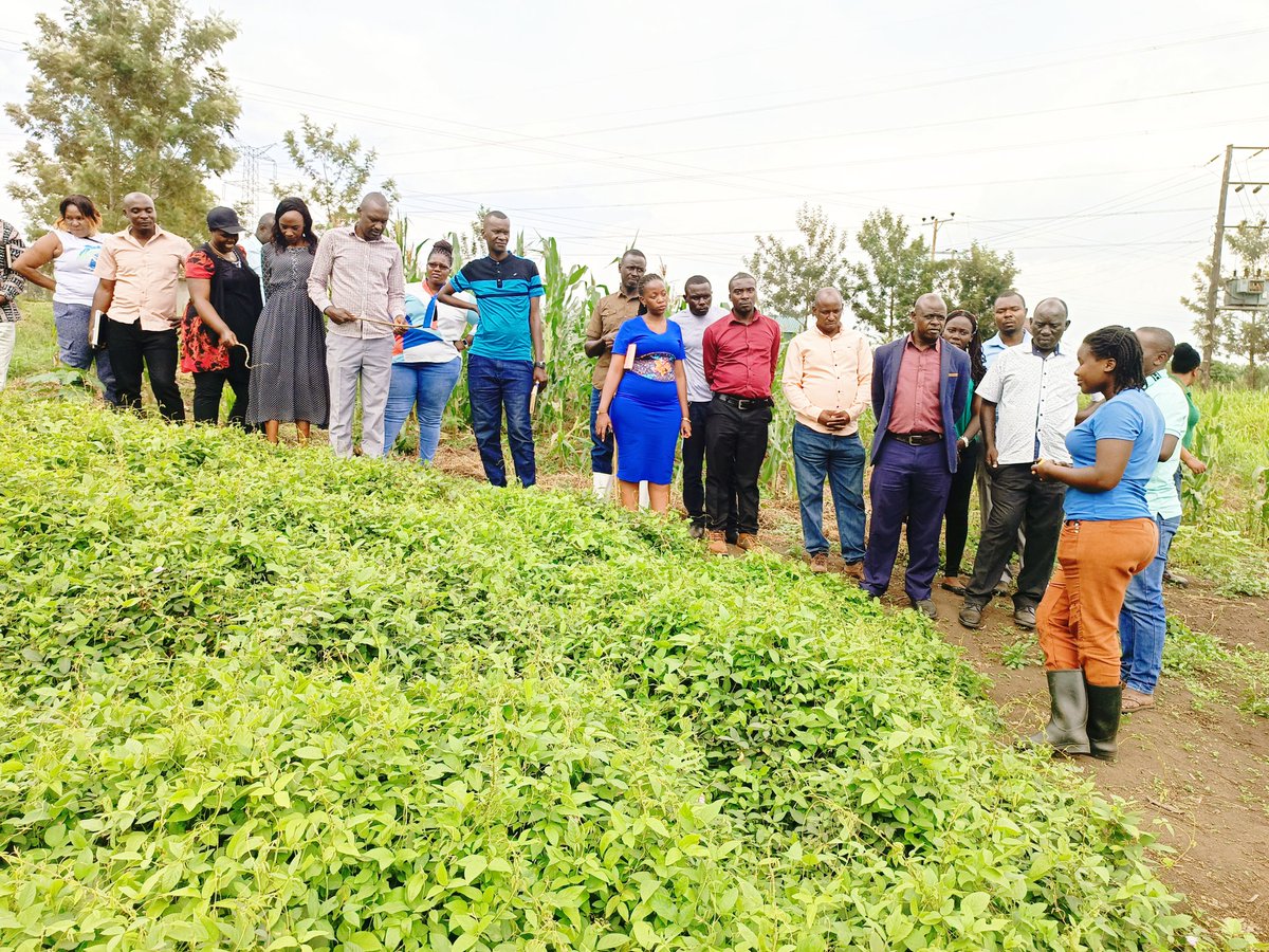 RWEBITABA ZARDI tweet media