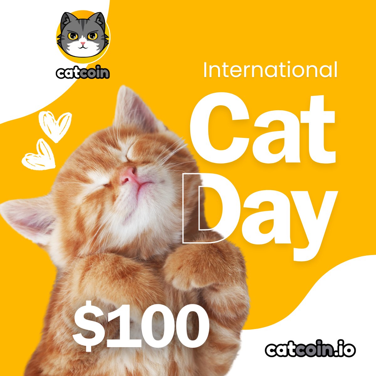 🚨INTERNATIONAL CAT DAY GIVEAWAY - $100 #USDT🚨
To celebrate the week of International Cat Day, $CATS has this pawsome event! 

• Follow <a href="/officialcatcoin/">Official Catcoin</a> and <a href="/officialccats/">Caring Cats Charity</a>
• Retweet 
• Share what you love most about cats 
• and comment #InternationalCatDay #Catcoin #giveaway