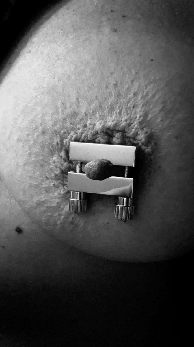 Michael Swansson tweet media