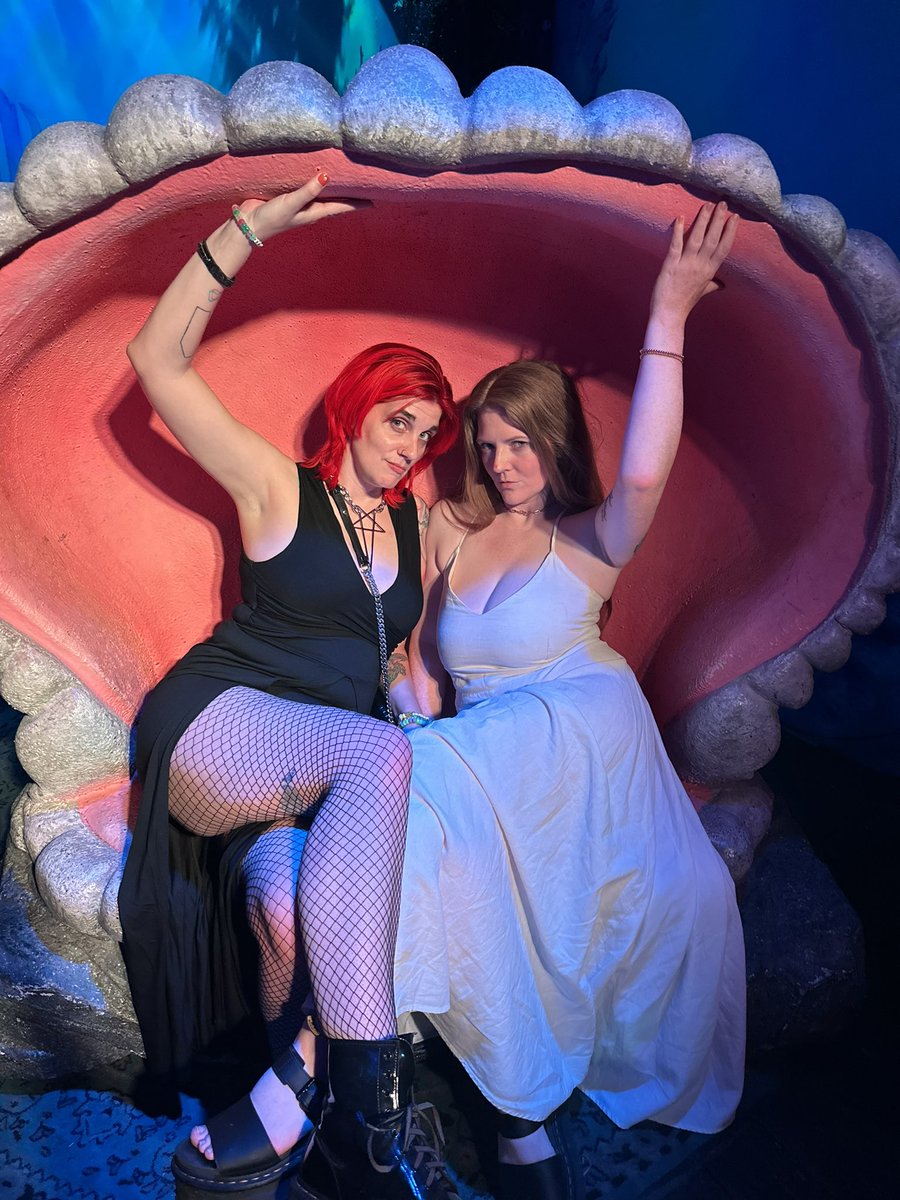 Katelyn Bowden Ⓥ tweet media