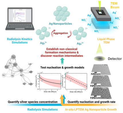 Our new collaborative paper with the Hutzler lab at HI-ERN has been published in Small Structures! We utilized liquid phase TEM and reaction network modeling to establish molecular scale formation mechanisms of silver nanoparticles. tinyurl.com/yzksp8en