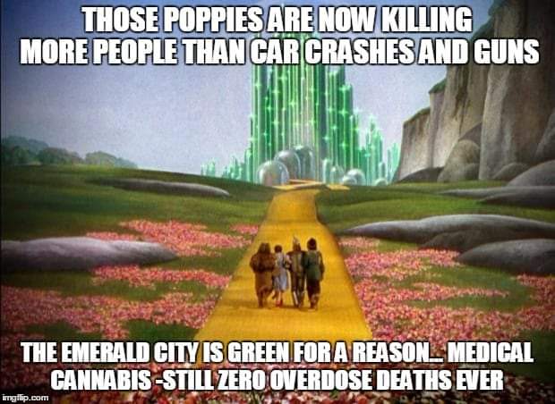 #ksleg 👀

NIDA, NIH, FDA, HHS, and AMA are ready to reschedule or deschedule completely because of proven medical applications and efficacy. 

So, what is your excuse now? 

Why continue to deny us a better quality of life? 

Why continue to deny the will of the people ?