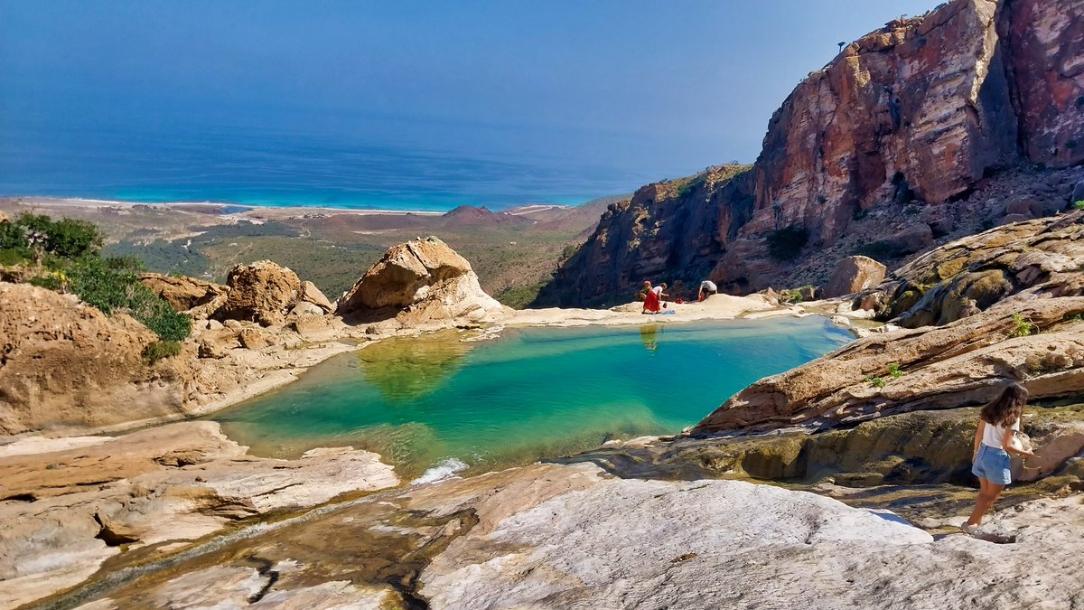 The Yemeni island of Socotra has one of the most unique natural habitants on the planet, containing rare plants, a vast array of birdlife, wildlife &amp; marine life. It also has canyons, forests, desert, coral reef, caves, lagoons, sand dunes &amp; beaches. Join us this or next year ⬇️