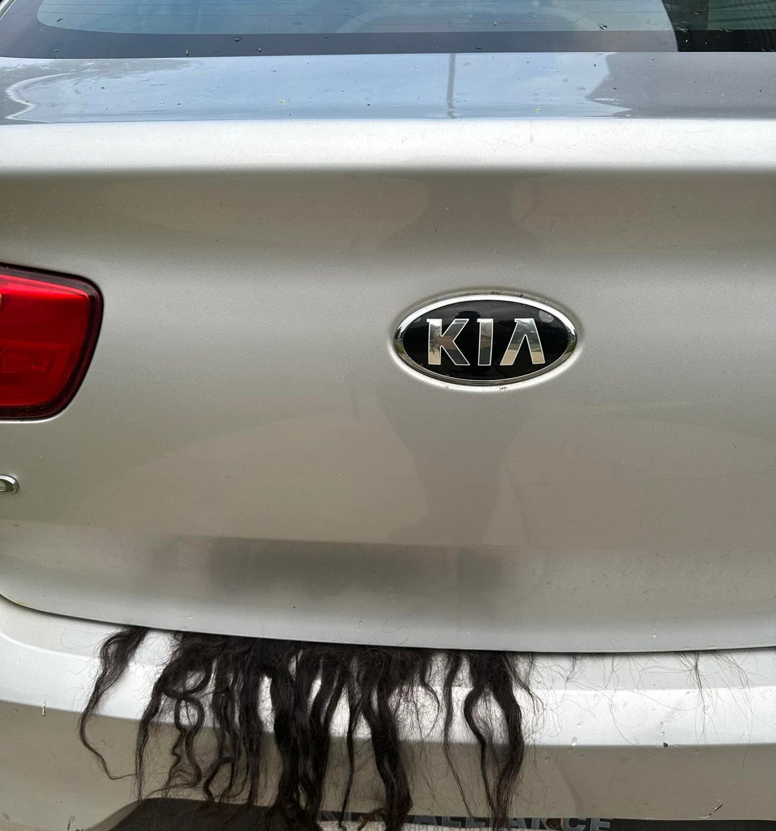 🔴TRUCS PER EVITAR LA DETENCIÓ DE PUIGDEMONT🔴

1. Posa una perruca al teu maleter: