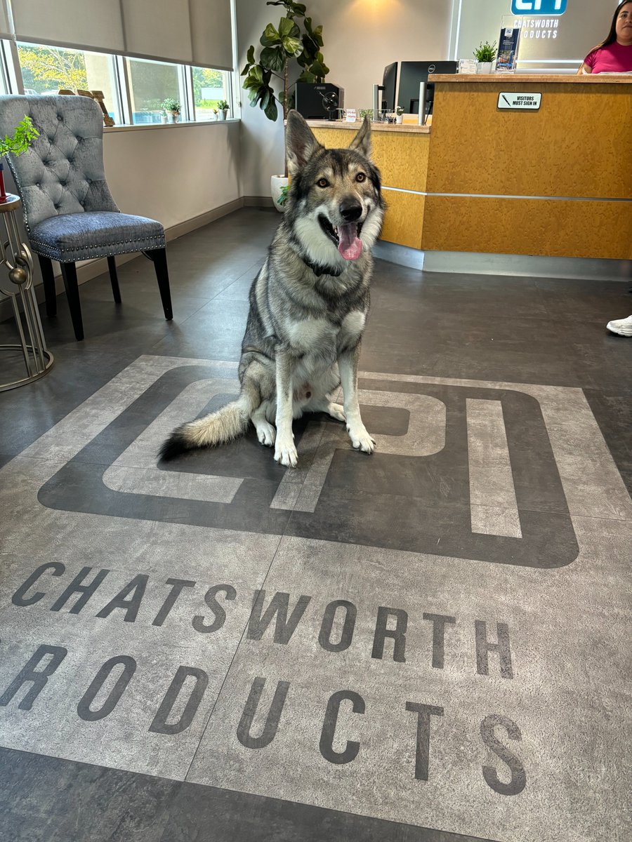 A few of our interns got a surprise visit from <a href="/NCState/">NC State University</a>'s Tuffy! 🐾 A special way to cap off their #summerinternship.

To ALL our interns: THANK YOU! Your energy, ideas &amp; hard work made a real impact at CPI!