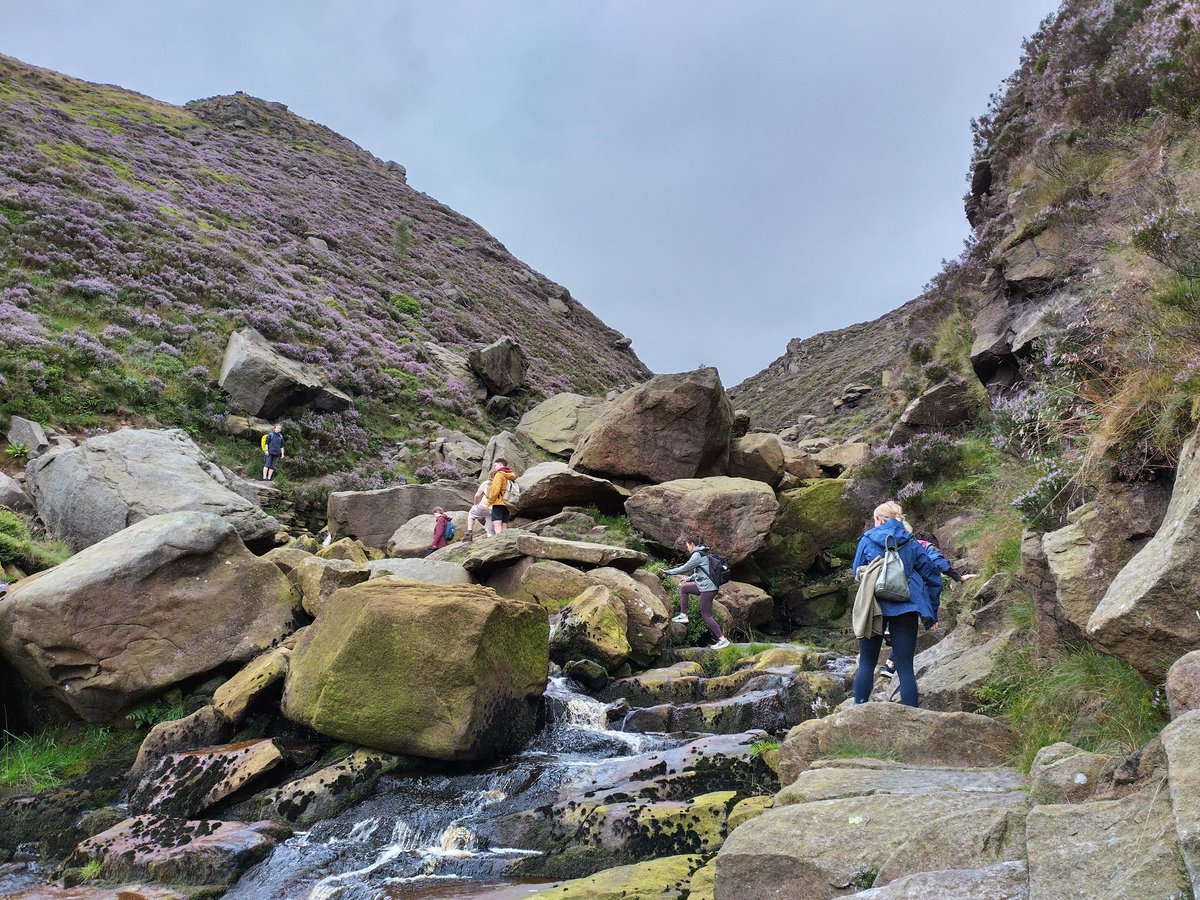 EndoSymb's tweet photo. #ICOM12 @PaszkowskiLab storming the peaks https://t.co/Mk8EZM8qZD