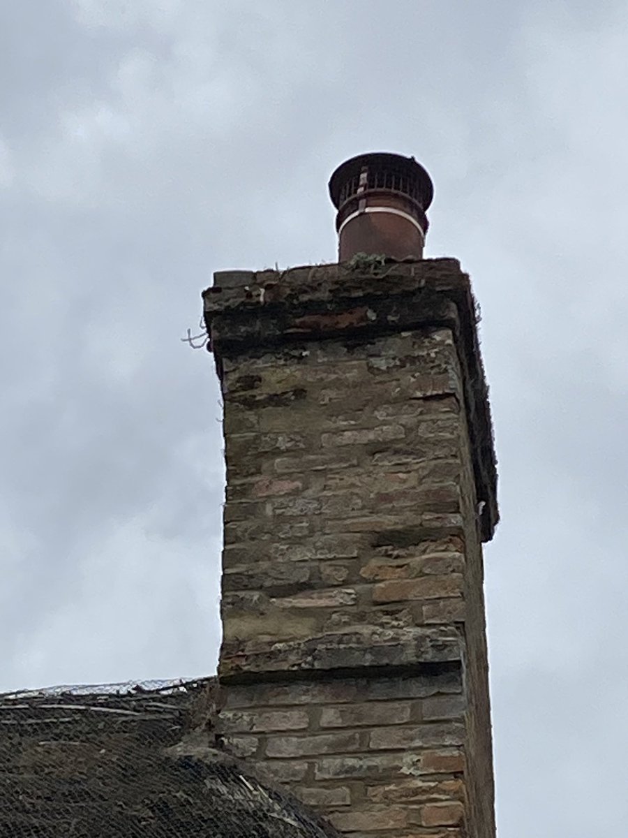 AdieSweep's tweet photo. This is what is left of this makeshift chicken wire bird guard which allows the birds able to build a nest and rain to get into the chimney. Now replaced with a proper bird guard 👍 https://t.co/w9U1rpp4ty