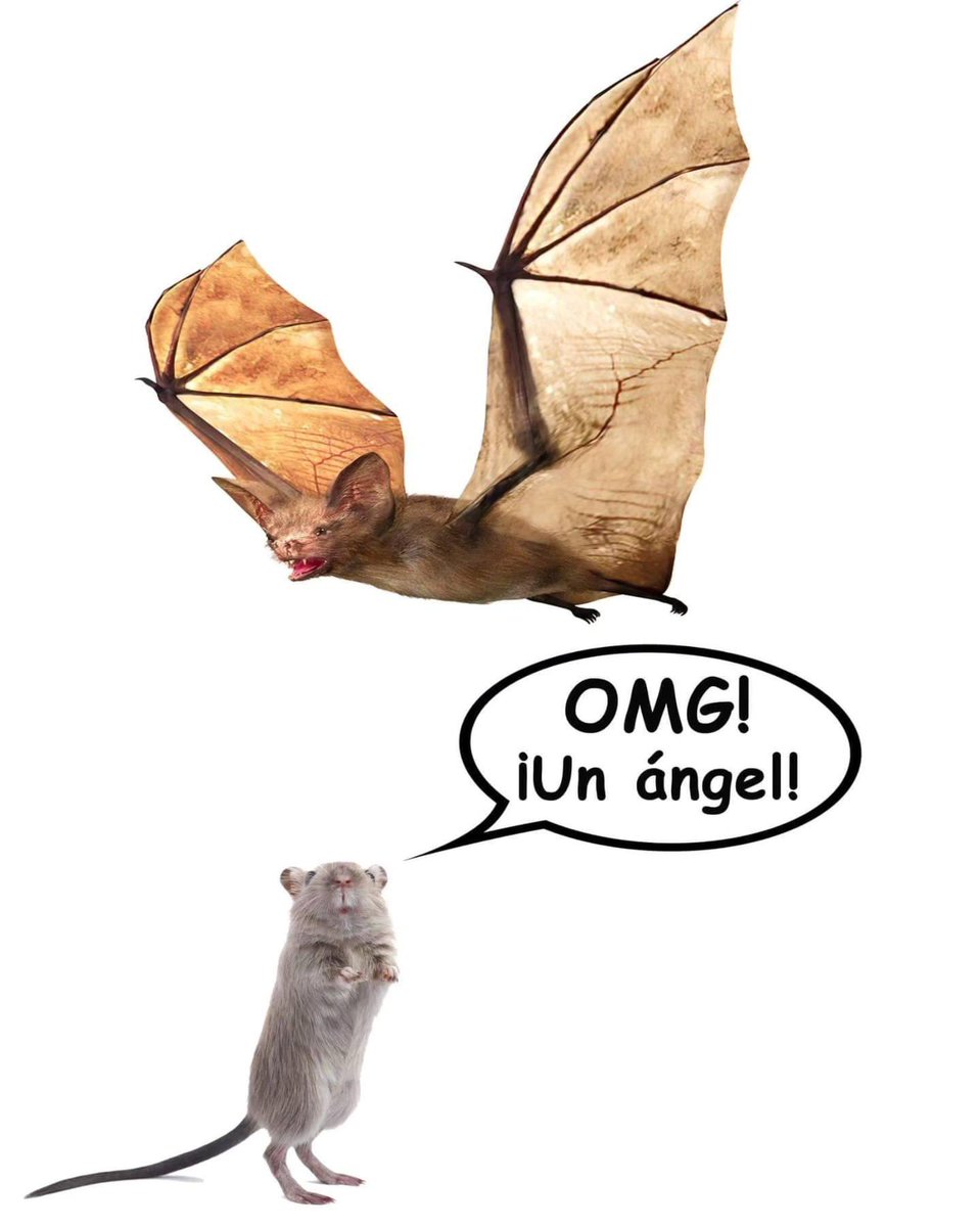 Informa Cosmos tweet media