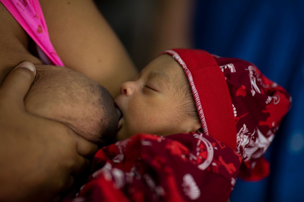 unicefvenezuela's tweet image. Los bebés alimentados con leche materna tienen más probabilidades de sobrevivir a enfermedades en su primer año que los bebés que no son amamantados. La lactancia potencia la supervivencia de los niños y niñas, especialmente en situaciones complejas.

#SMLM2024 #CerrandolaBrecha