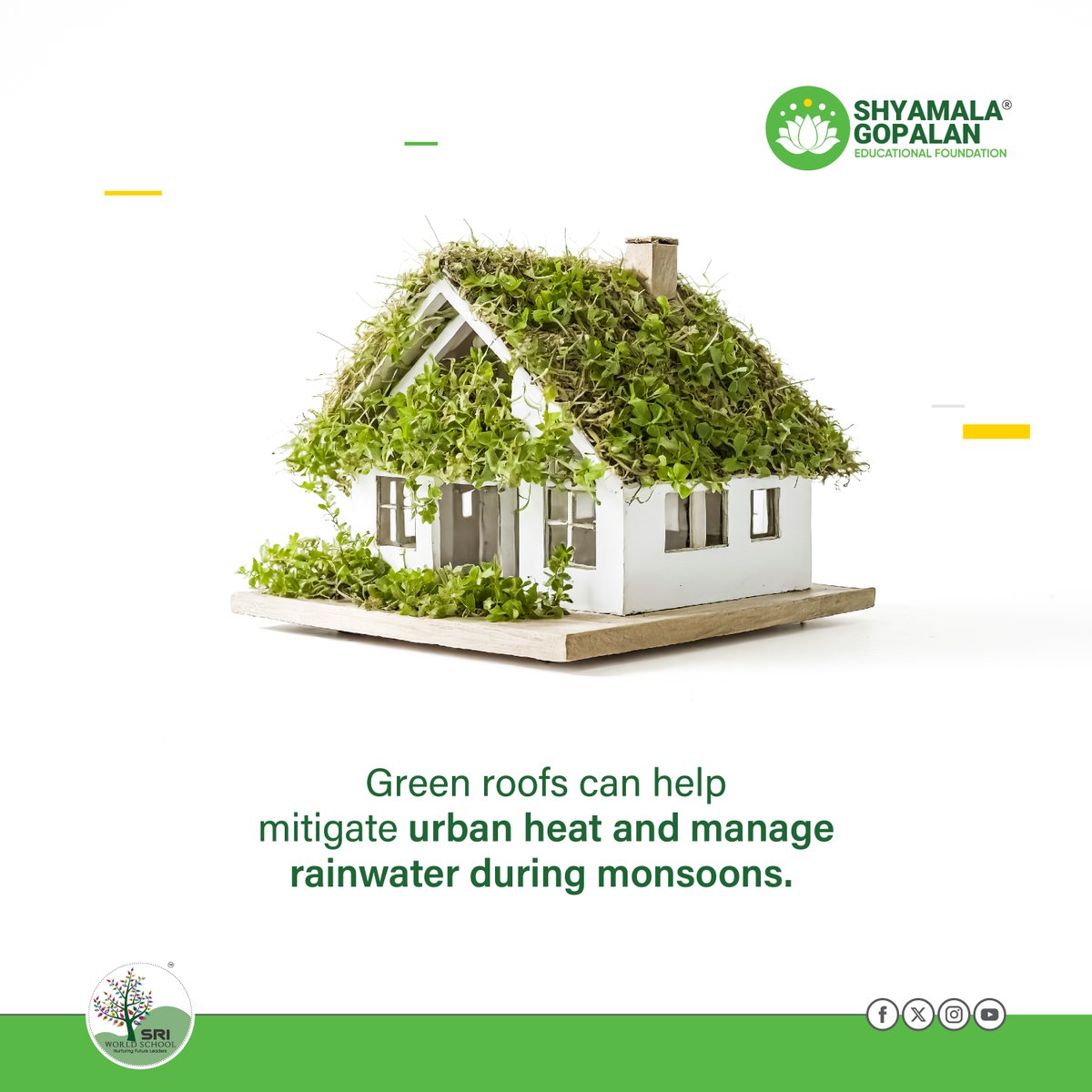 Shyamalagef's tweet image. Green roofs are a fantastic solution to urban challenges. They help mitigate urban heat, making our cities cooler and more comfortable. 

@kamalaharris @douglasemhoff
#GreenRoofs #UrbanCooling #RainwaterManagement #SustainableCities  #ShyamalaEducationalFoundation