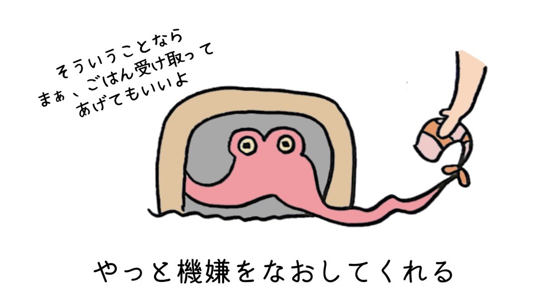🐙タコあるある📝 めんどくさい